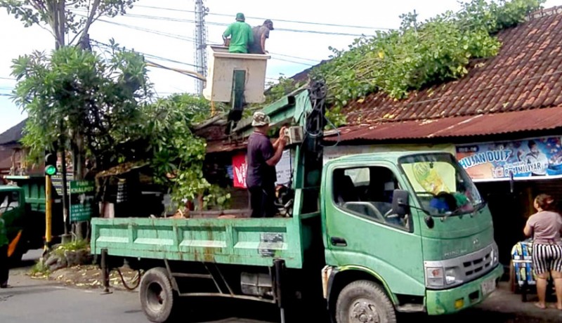 www.nusabali.com-dinas-lhk-denpasar-kekurangan-mobil-tangga