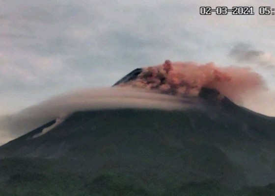 Nusabali.com - awan-panas-guguran-merapi-meluncur-sejauh-1900-meter
