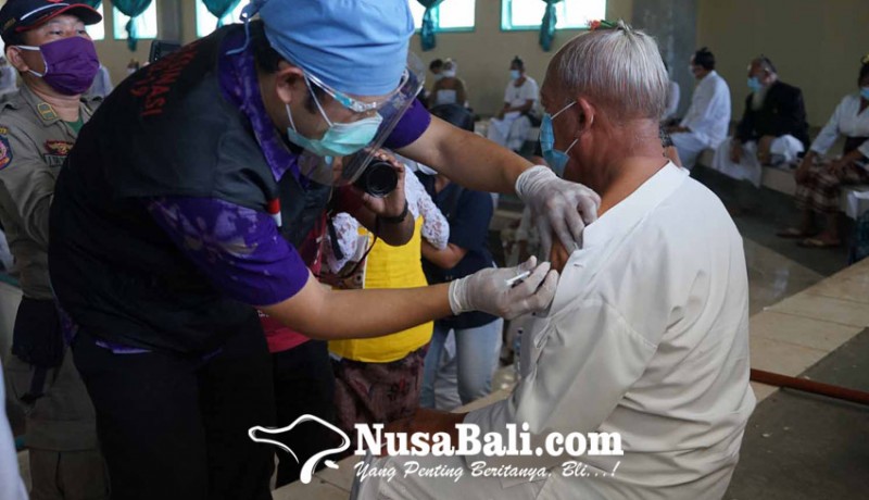 www.nusabali.com-325-sulinggih-dan-100-pamangku-dapat-vaksin