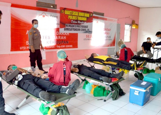 Nusabali.com - pandemi-pmi-krisis-stok-darah