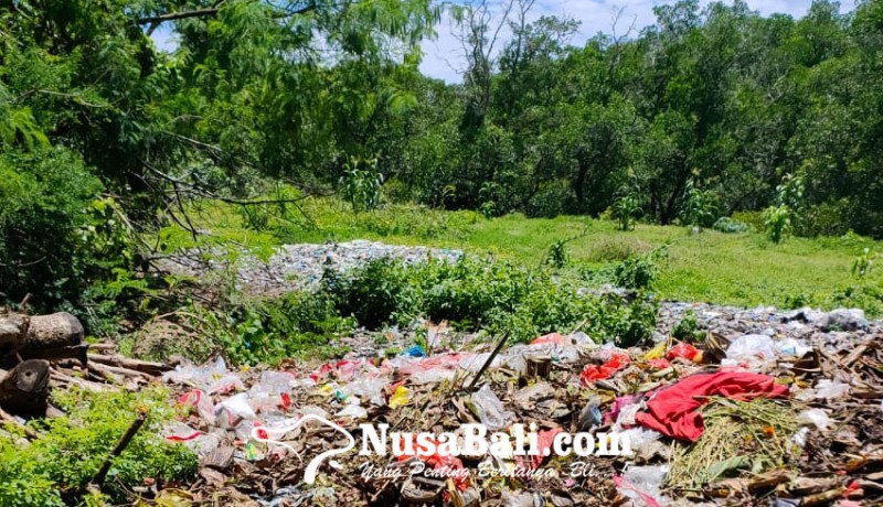 www.nusabali.com-hutan-mangrove-penuh-sampah
