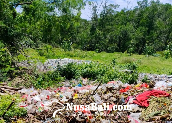 Nusabali.com - hutan-mangrove-penuh-sampah