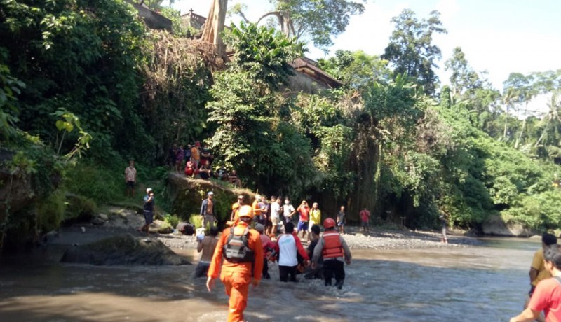 www.nusabali.com-pekak-tewas-terlempar-ke-jurang-sungai-ayung-sedalam-15-meter