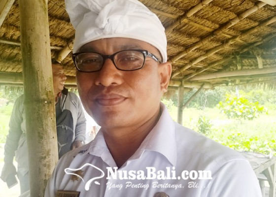 Nusabali.com - minim-akomodasi-wisata-di-tabanan-bersertifikat-chse