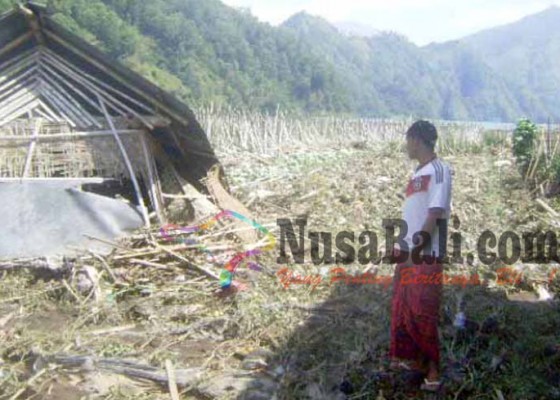 Nusabali.com - 20-ha-tanaman-hortikultura-hancur