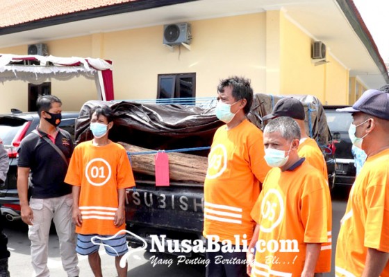 Nusabali.com - polisi-tangkap-5-pelaku-ilegal-loging