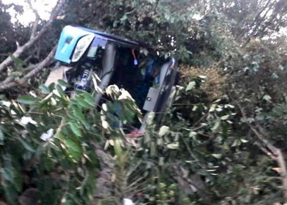 Nusabali.com - bus-masuk-jurang-13-terluka