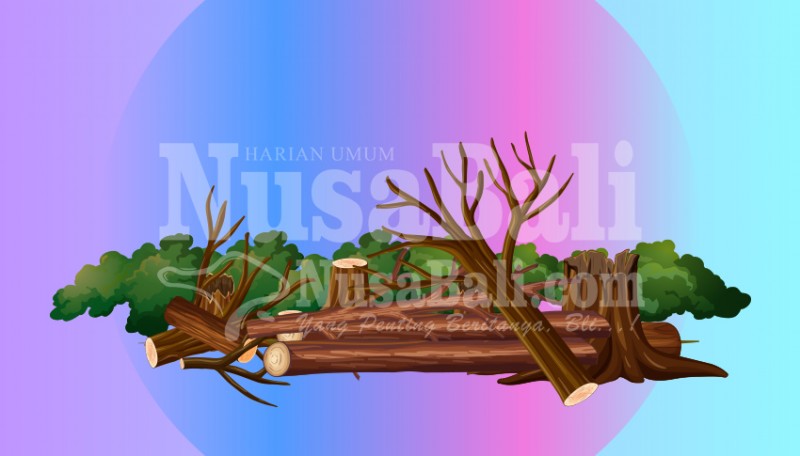 www.nusabali.com-pohon-tumbang-jalur-singaraja-seririt-macet