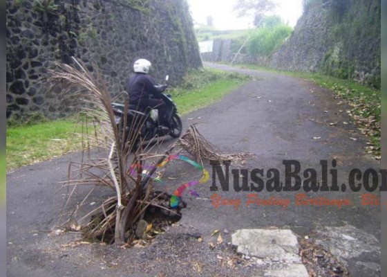 Nusabali.com - jalan-ke-kpu-bangli-berlubang-dinas-pu-tak-bisa-tangani