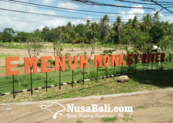 Nusabali.com - monkey-river-desa-kemenuh-suguhkan-wisata-alam-dan-spiritual-soft-opening-agustus-2021