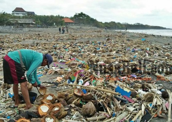 Nusabali.com - pantai-kedungu-penuh-sampah-toris-batal-surfing