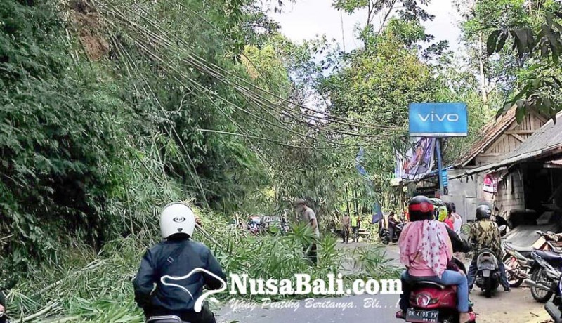 www.nusabali.com-rumpun-bambu-longsor-lalu-lintas-terganggu