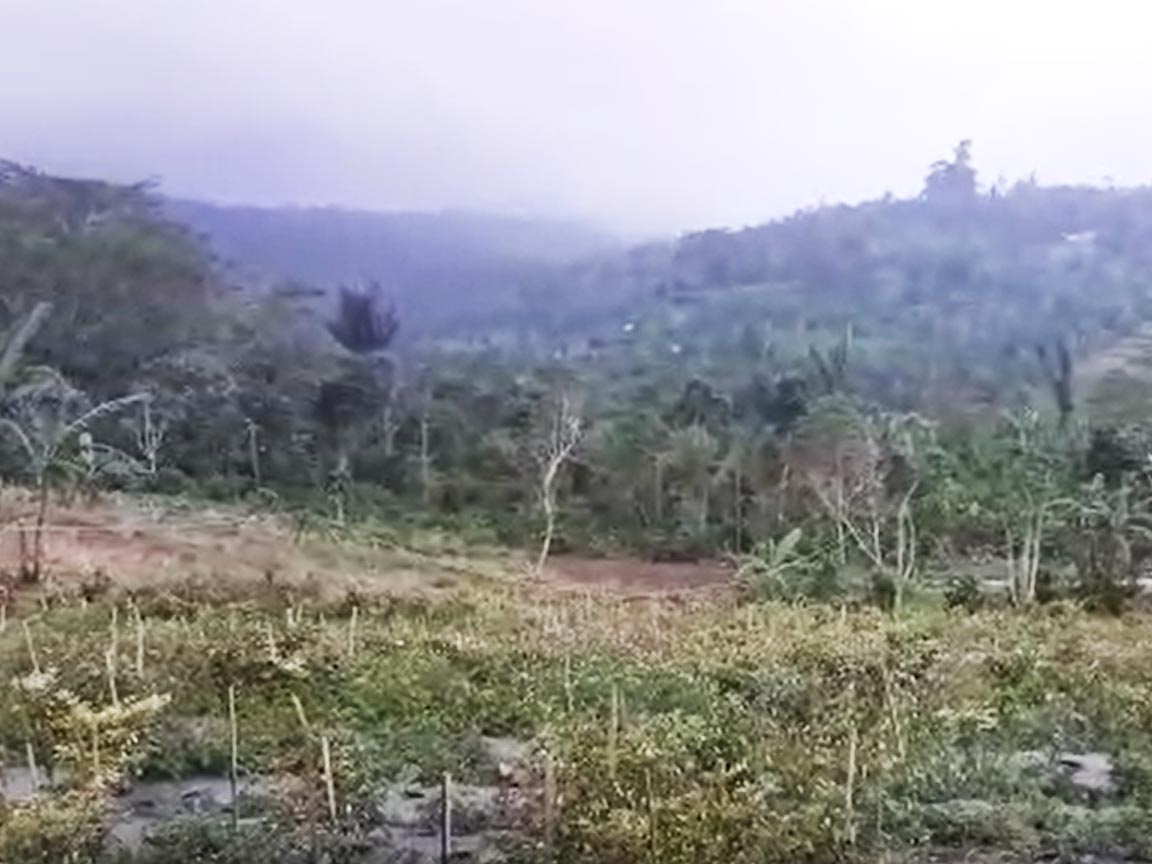 Dijual Tanah Murah Di Kintamani Desa Catur Bali - Senggol Bali