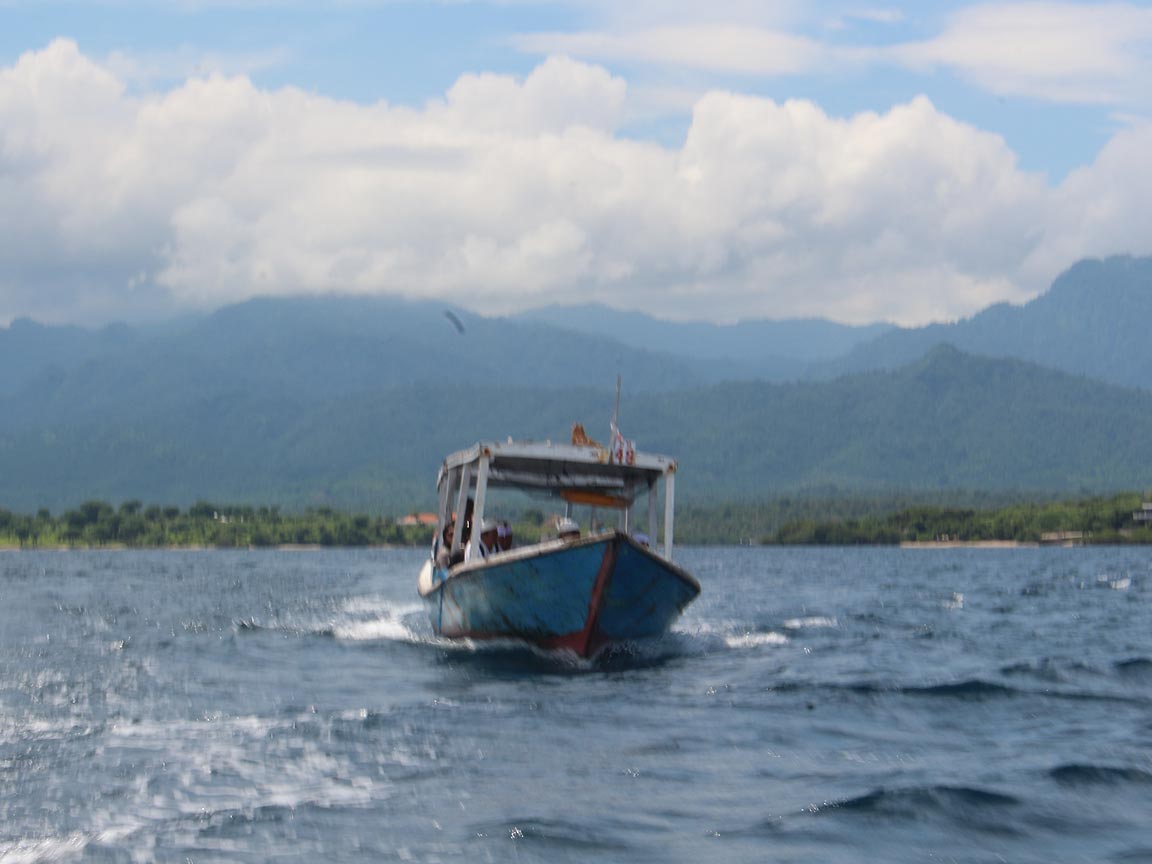 Harga Sewa Boat Wisata Snorkeling Menyeberang Ke Pulau Menjangan - Senggol Bali