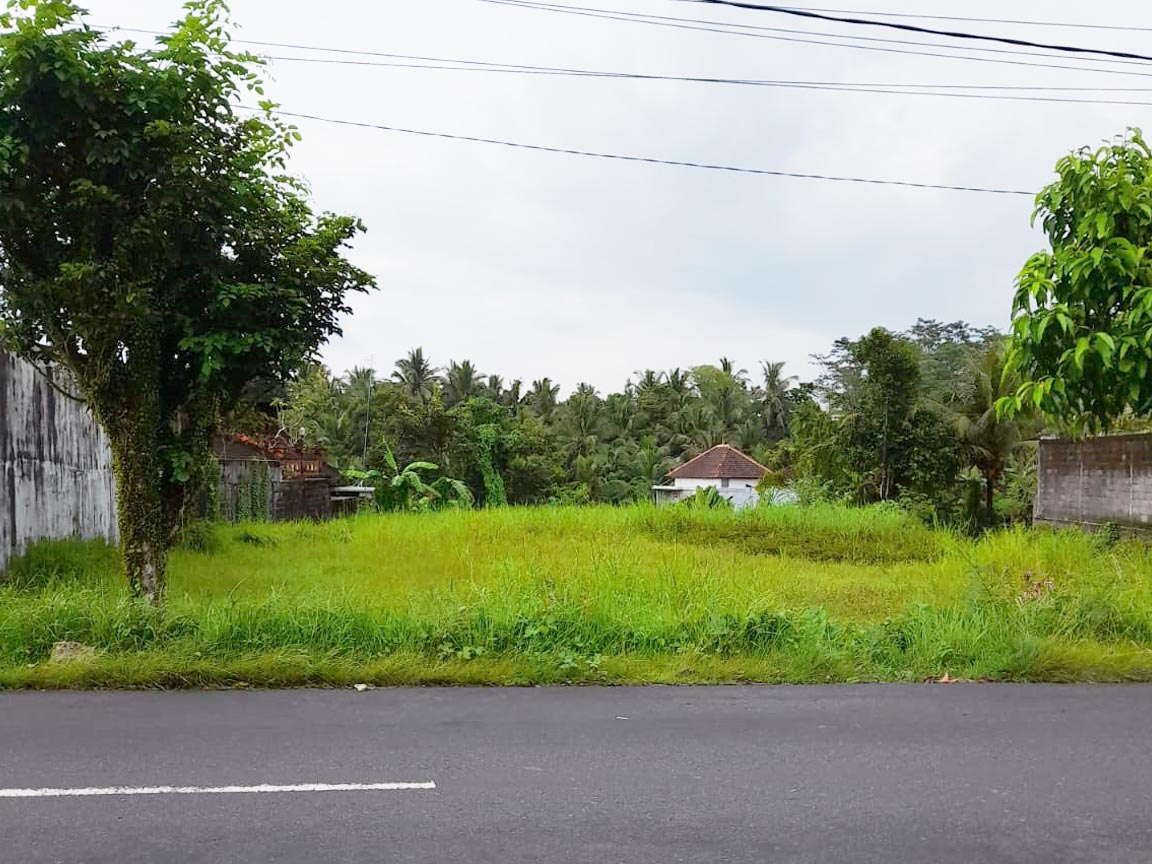 Dijual Tanah Lokasi Pinggir Jalan Utama Wanasari Murah BUC - Senggol Bali